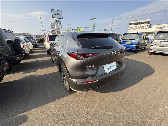 CX-302.0 20S