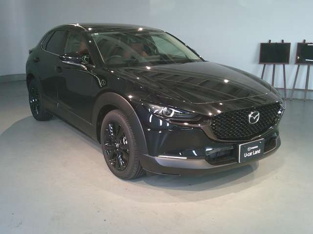 CX-302.0 20S レトロスポーツエディション