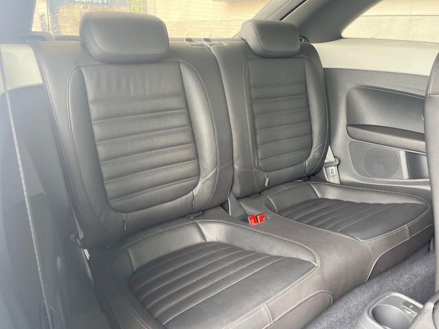 ���㕔���Ȃ��C�ɂȂ�悤�ȃL�Y�E�����ւ��蓙�A�傫�ȃ_���[�W�͂Ȃ��A�ǍD�ȏ�Ԃł��B