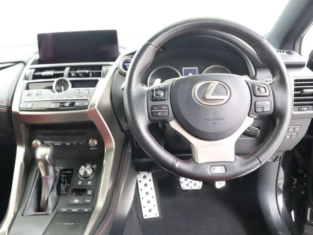 NX300h Fスポーツ
