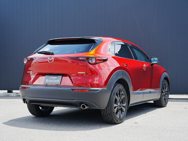 CX-301.8 XD レトロスポーツエディション 4WD