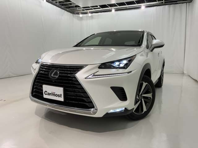 NX300h バージョンL