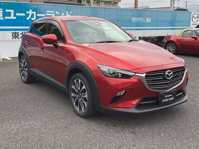 CX-31.8 XD