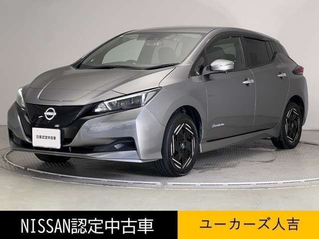 リーフe+ X