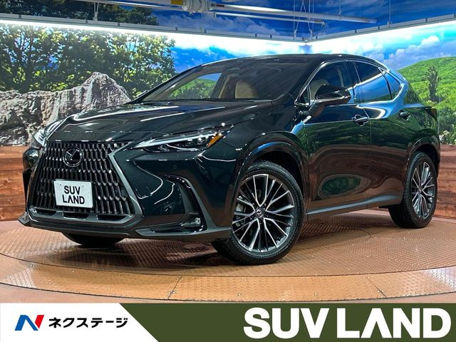 NX350h バージョンL
