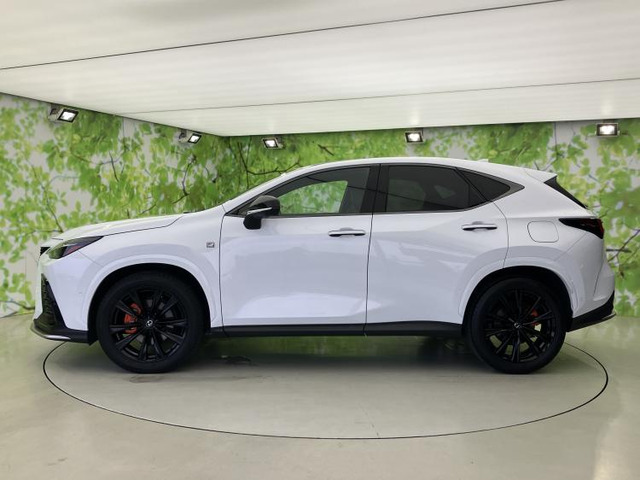 NX350h Fスポーツ 4WD