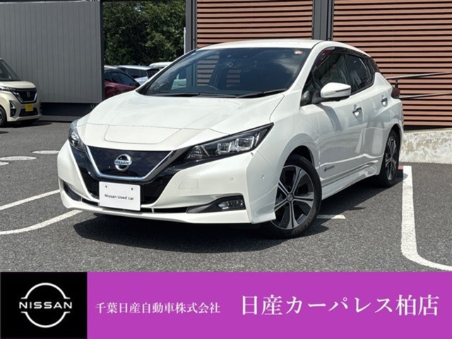 リーフG