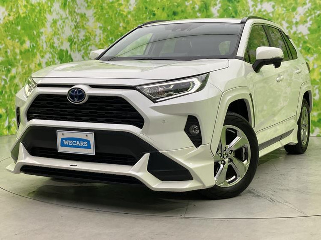 RAV42.5 ハイブリッド X