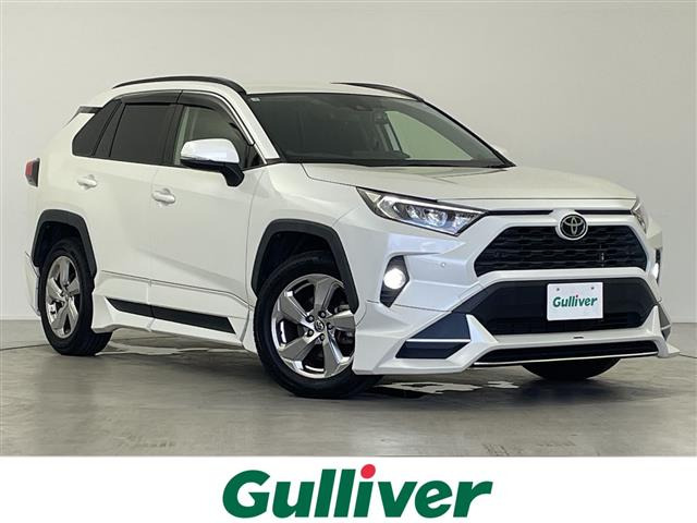 RAV42.0 X