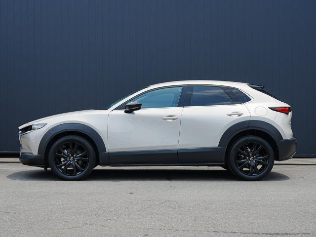 CX-302.0 20S