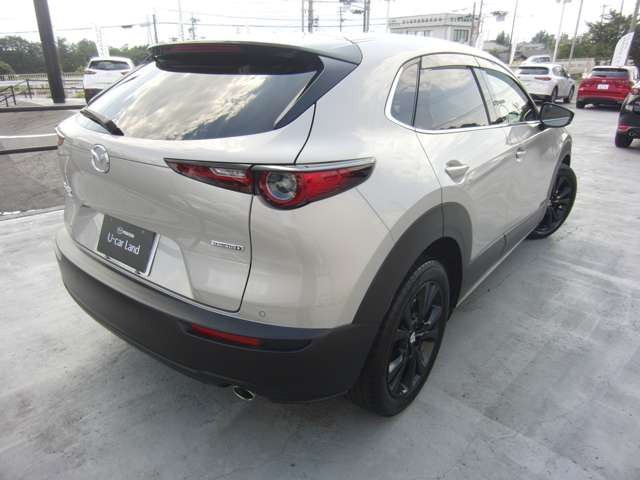 CX-30