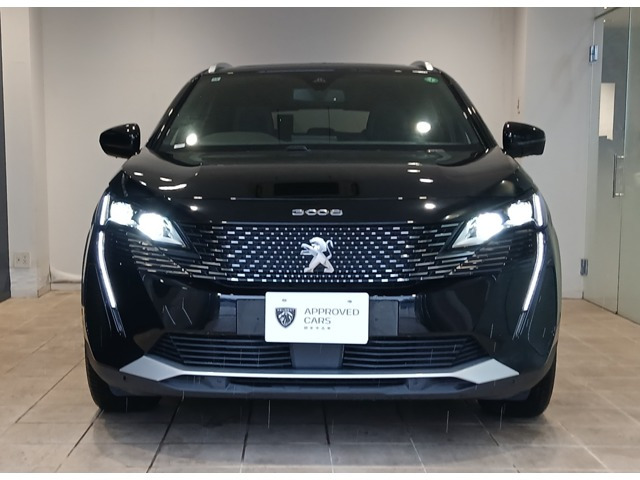 3008GT