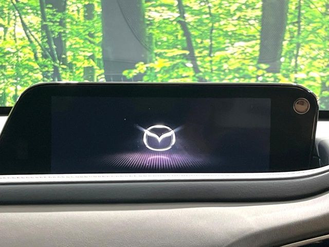 CX-302.0 20S プロアクティブ ツーリングセレクション