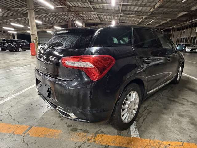 DS5シック