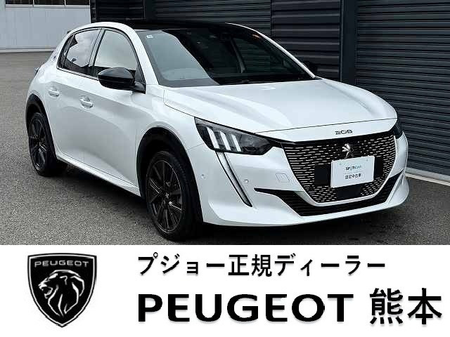 e-208GT
