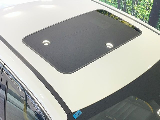 NX300 Fスポーツ