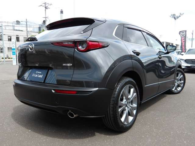 CX-302.0 20S プロアクティブ ツーリングセレクション 4WD