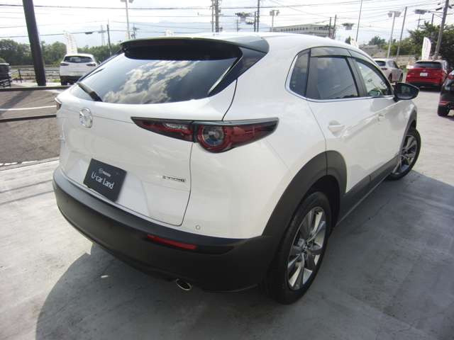 CX-302.0 20S