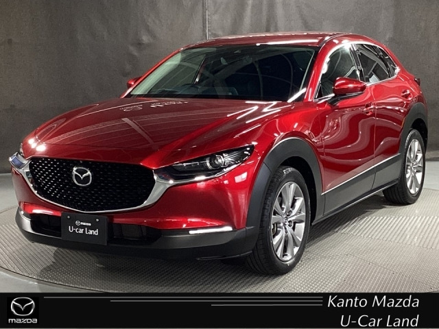 CX-302.0 20S プロアクティブ ツーリングセレクション