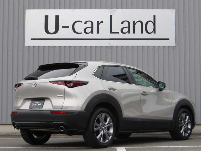 CX-302.0 20S