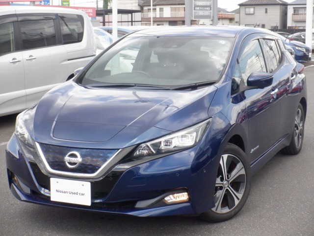 リーフG