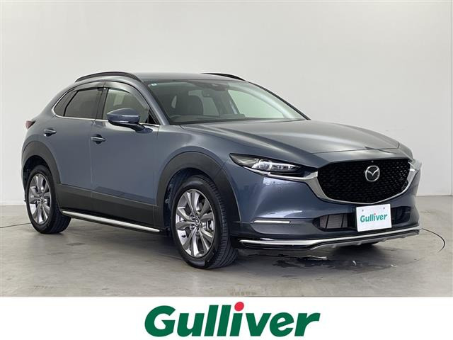 CX-301.8 XD Lパッケージ