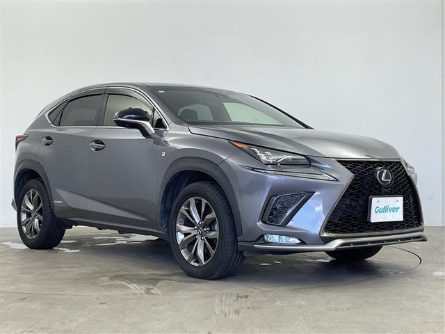 NX300h Fスポーツ