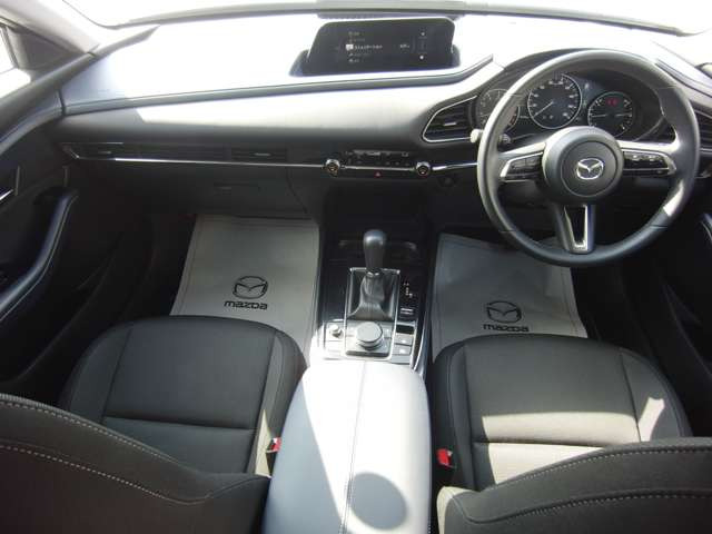 CX-302.0 20S