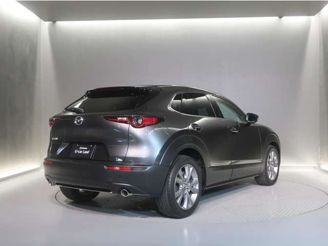 CX-301.8 XD Lパッケージ