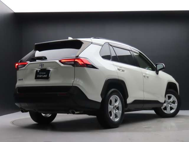 RAV42.0 X