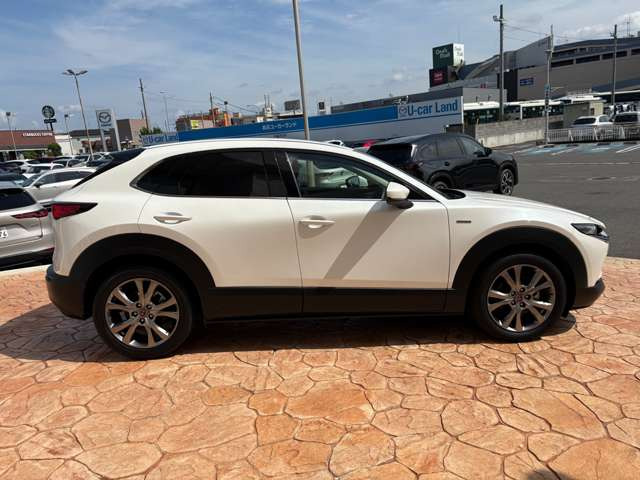 CX-301.8 XD 100周年特別記念車