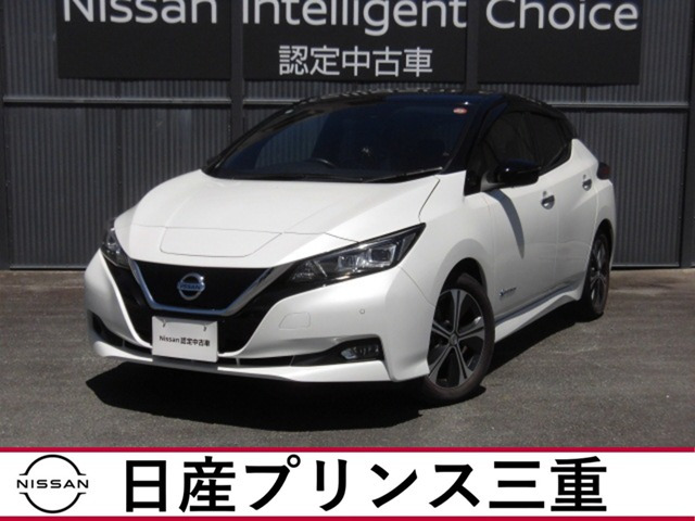 リーフX