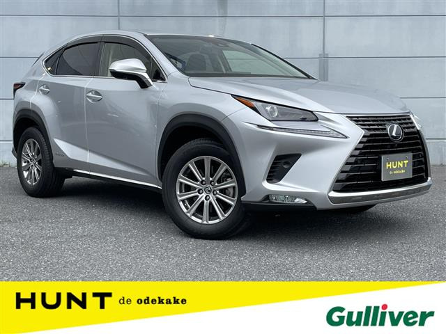 NX300h