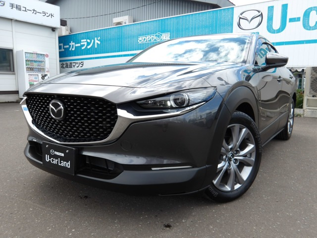 CX-302.0 20S プロアクティブ ツーリングセレクション 4WD