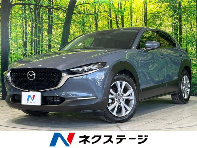 CX-301.8 XD Lパッケージ