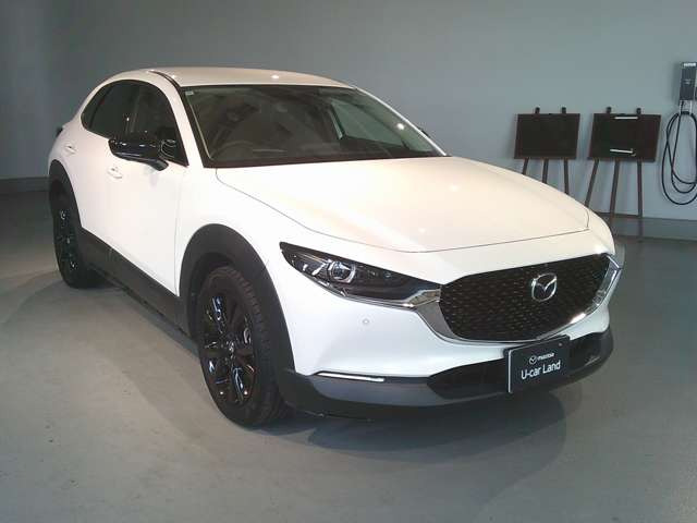 CX-30