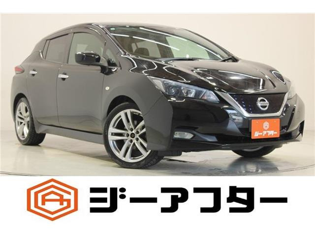 リーフS
