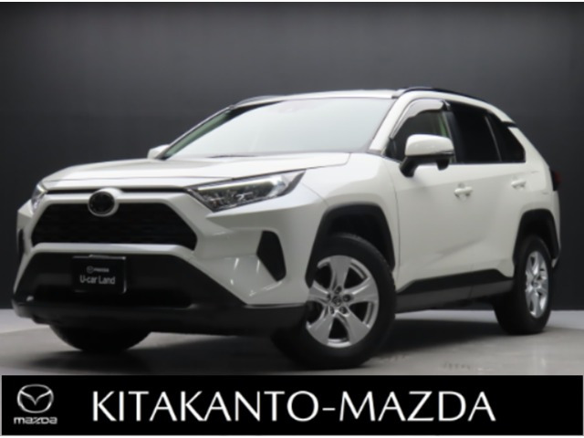 RAV42.0 X