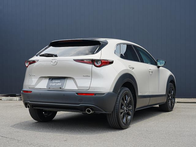 CX-302.0 20S