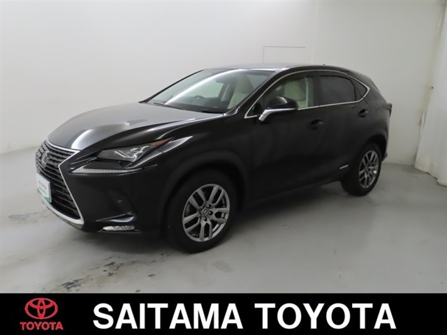 NX300h バージョンL