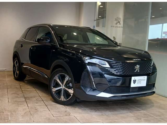 3008GT