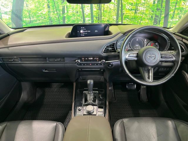 CX-301.8 XD Lパッケージ