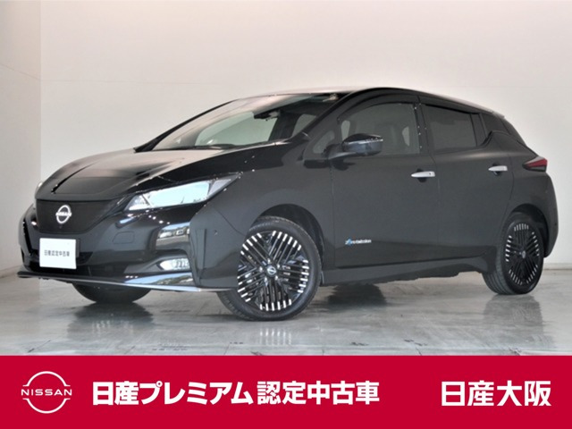リーフe+ G