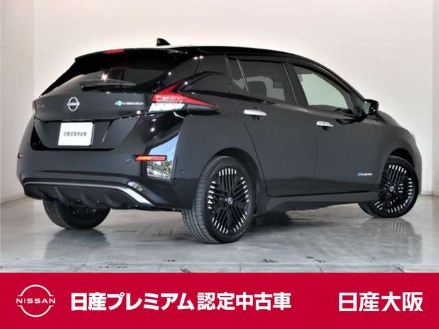 リーフe+ G