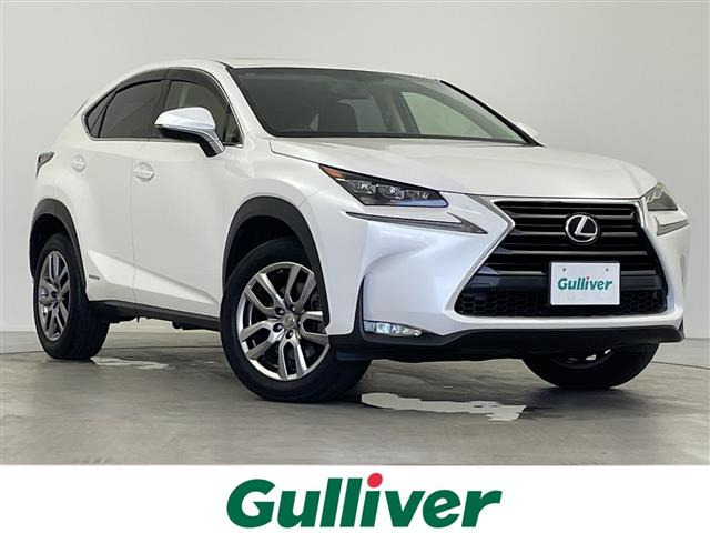 NX300h