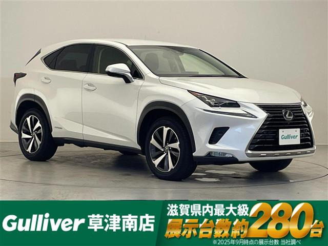 NX300h Iパッケージ