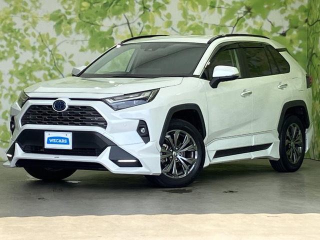 RAV42.5 ハイブリッド G E-Four 4WD
