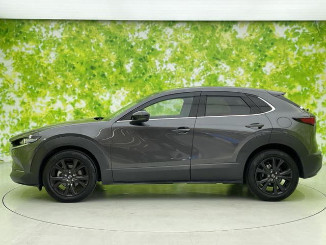 CX-302.0 20S ブラックトーンエディション