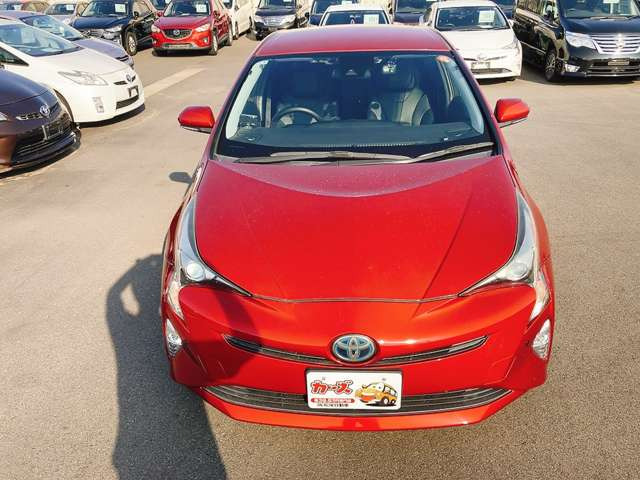 WEB�ETEL���k�s�Ȃ��Ă���܂�!�����X���������Ȃ��Ă����k�E���w���\�ł�!���C�y�ɓX���ւ��⍇������������