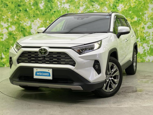 RAV42.0 G Zパッケージ 4WD